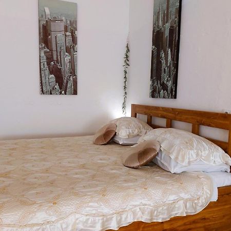 Exkluzivni Apartman V Prizemi V Hradci Kralove Hradec Králové Buitenkant foto