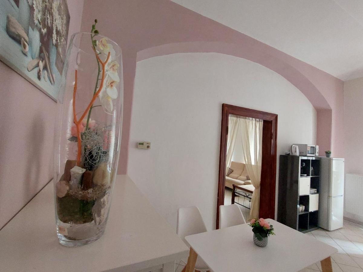Exkluzivni Apartman V Prizemi V Hradci Kralove Hradec Králové Buitenkant foto